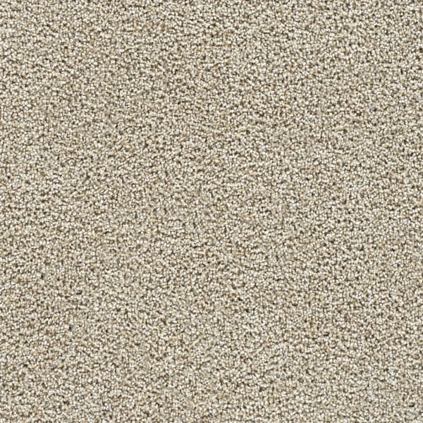 DreamWeaver Captivating I — Peanut Brittle carpet swatch