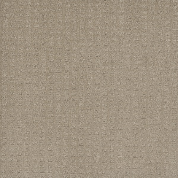DreamWeaver Caspian — Soft Pine carpet swatch