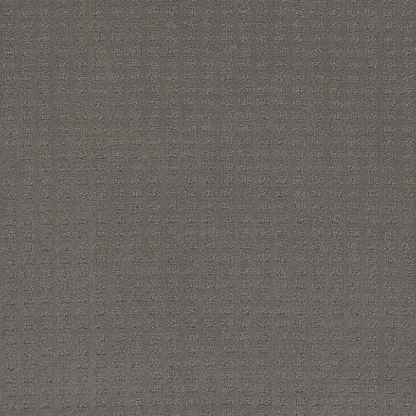 DreamWeaver Caspian — Timber Ridge carpet swatch