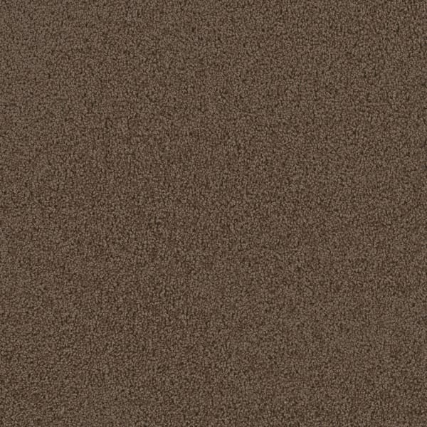 DreamWeaver First Step — Barnwood carpet swatch
