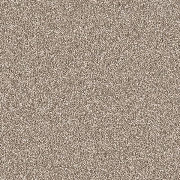 East Hampton — Quail swatch
