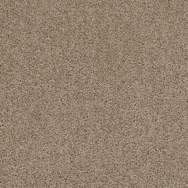 First Step — Biscotti