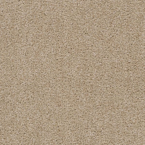 DreamWeaver First Step — Sawgrass carpet swatch