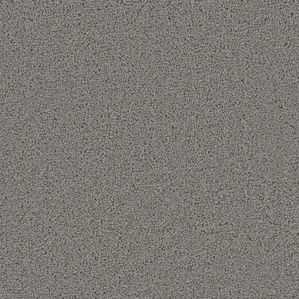 DreamWeaver First Step — Bayside carpet swatch