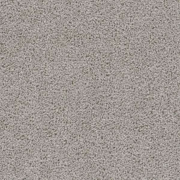 DreamWeaver First Step — Dove carpet swatch