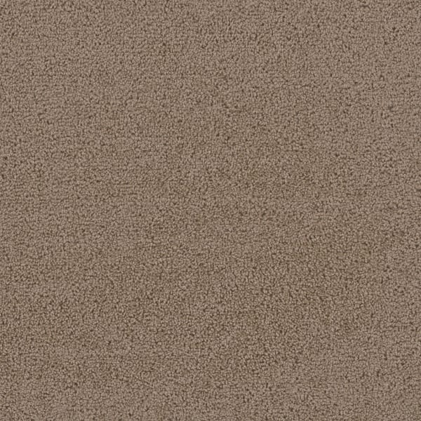 DreamWeaver First Step — Balsam carpet swatch