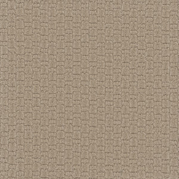 DreamWeaver Grand Isle — Golden Glade carpet swatch
