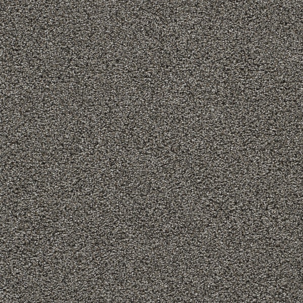 DreamWeaver Gold Standard III — Zinc carpet swatch