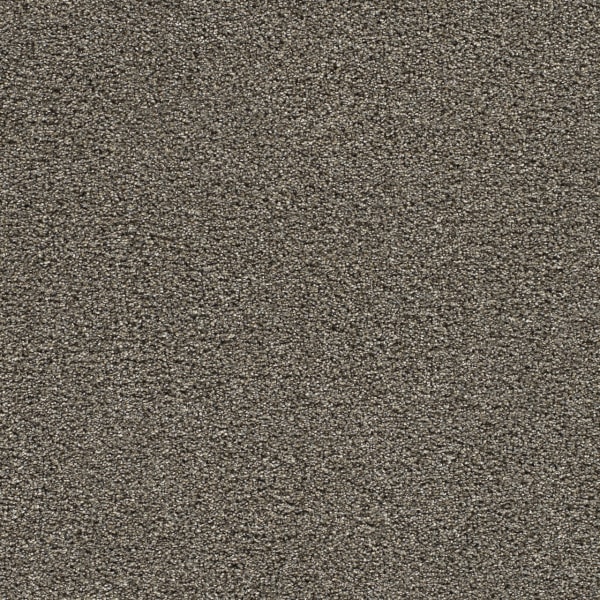 DreamWeaver Gold Standard III — Ingot carpet swatch