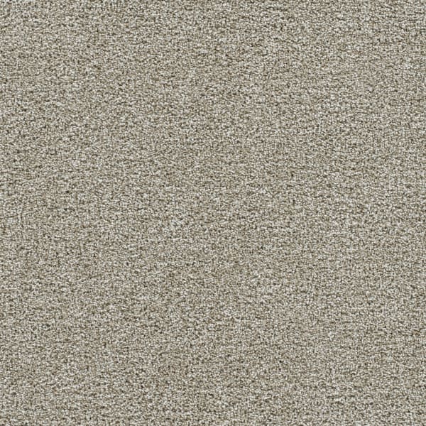 DreamWeaver Gold Standard III — Alloy carpet swatch
