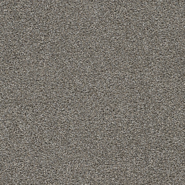 DreamWeaver Gold Standard III — Topaz carpet swatch