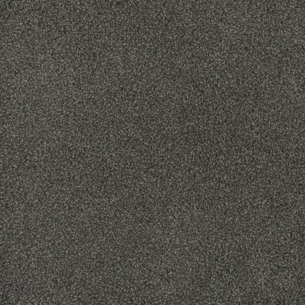 DreamWeaver Hammond Creek II — Electron carpet swatch