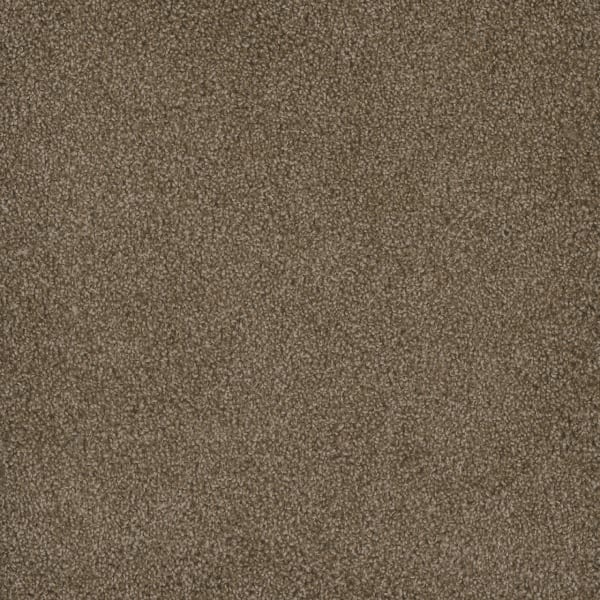 DreamWeaver Hammond Creek II — Dove carpet swatch