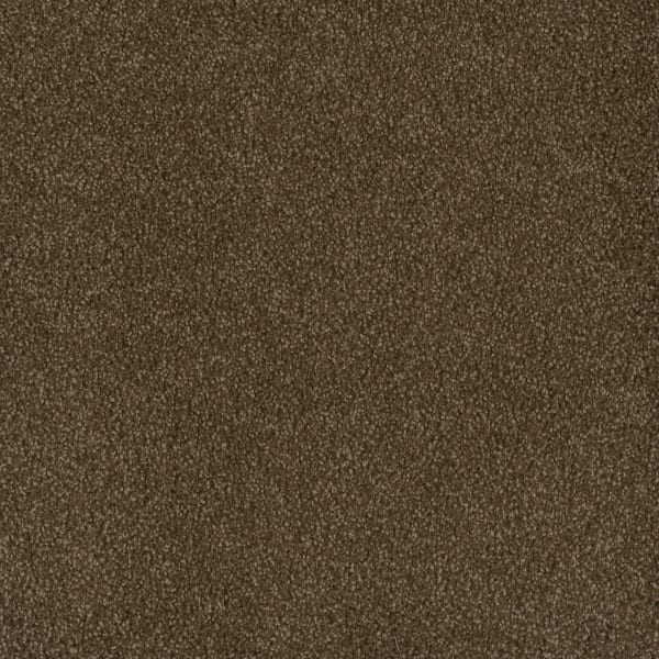 DreamWeaver Hammond Creek II — Black Walnut carpet swatch