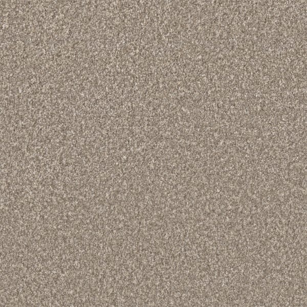 DreamWeaver Lucky Penny III — Bliss carpet swatch