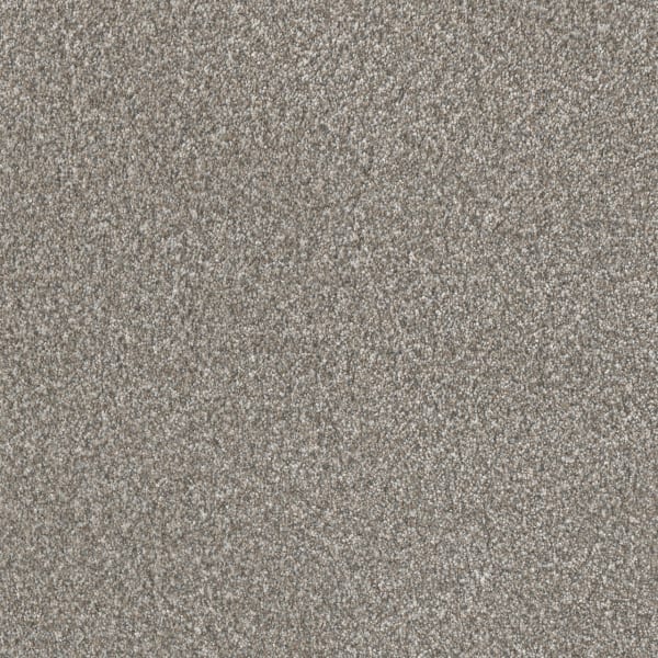 DreamWeaver Lucky Penny III — Frost carpet swatch