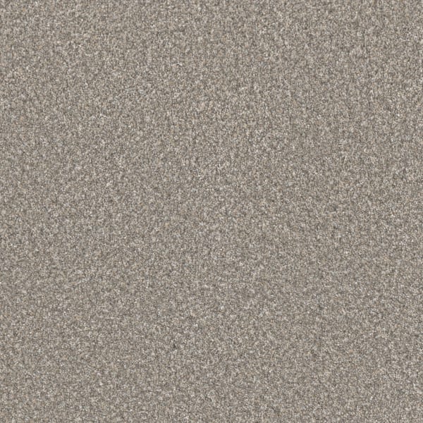 DreamWeaver Lucky Penny III — Breakaway carpet swatch