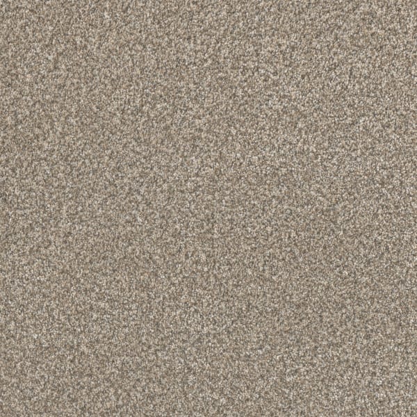 DreamWeaver Lucky Penny III — Elite carpet swatch