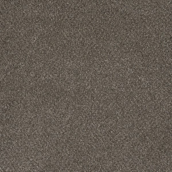 DreamWeaver Monte Carlo II — Rugby carpet swatch