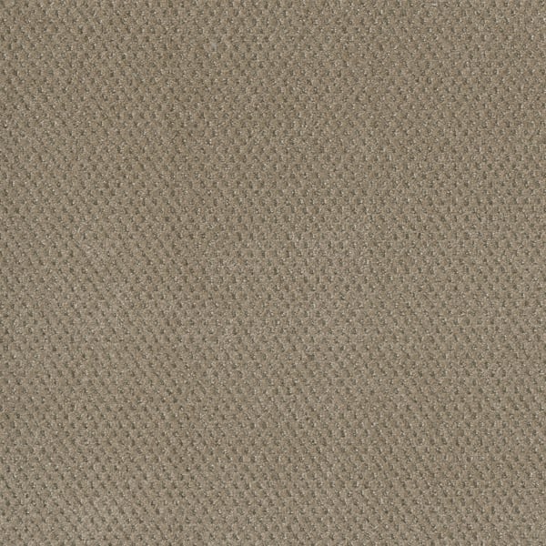DreamWeaver Moon Bay — Warm Sand carpet swatch