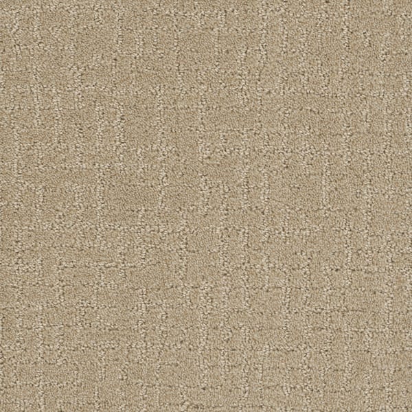 DreamWeaver Modern Edge — Soft Pine carpet swatch