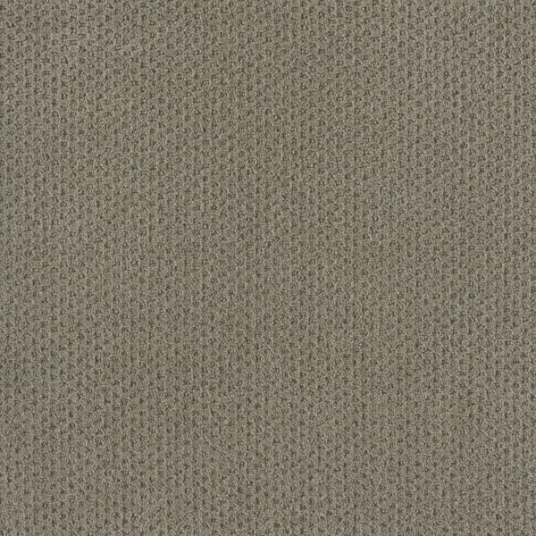 DreamWeaver Moon Bay — Timber Ridge carpet swatch