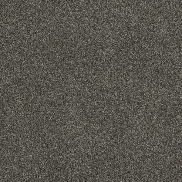 DreamWeaver Luxor I — Midnight Shadow carpet swatch