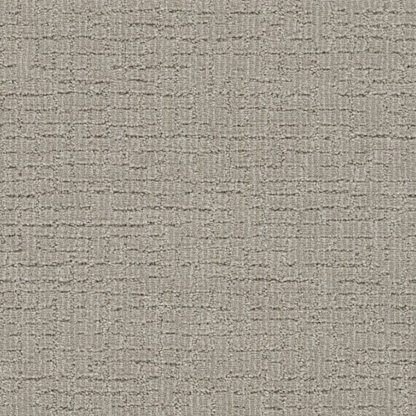DreamWeaver Natural Attraction — Regal carpet swatch