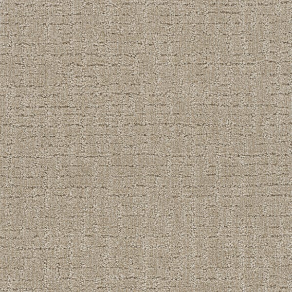 DreamWeaver Natural Attraction — Papaya carpet swatch