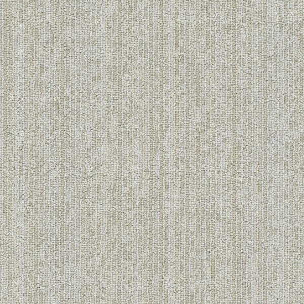 Newport — Alpaca