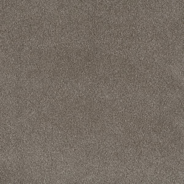 DreamWeaver Palmetto I — Vienna carpet swatch