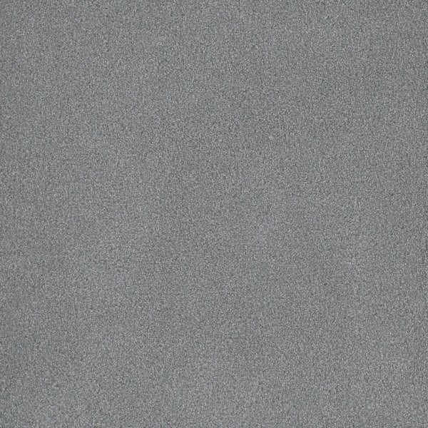 DreamWeaver Palmetto I — Skylight carpet swatch