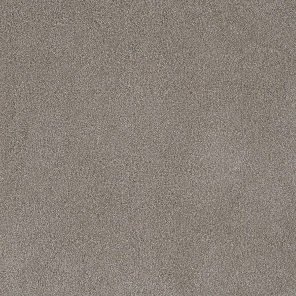 DreamWeaver Palmetto I — Havana carpet swatch