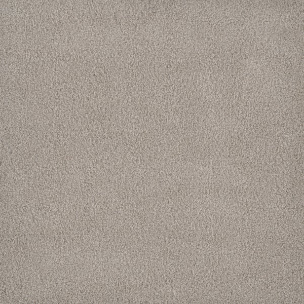 DreamWeaver Palmetto I — Gardenia carpet swatch