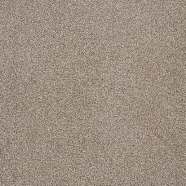 DreamWeaver Palmetto I — Sun Washed carpet swatch