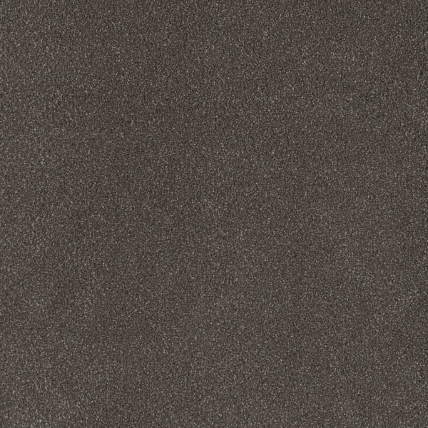 DreamWeaver Palmetto I — Bear Paw carpet swatch