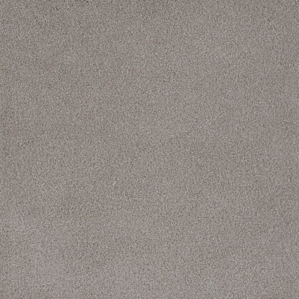 DreamWeaver Palmetto I — Cherry Blossom carpet swatch