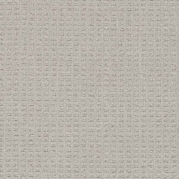 DreamWeaver Perfect Balance — Cascades carpet swatch