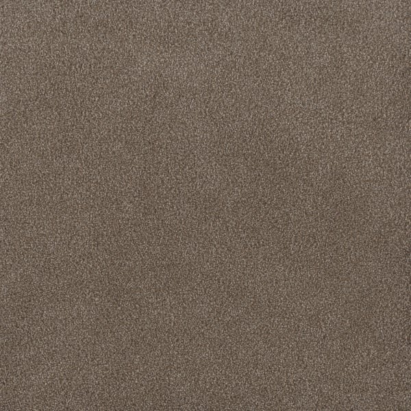 DreamWeaver Palmetto I — Eagle Crest carpet swatch