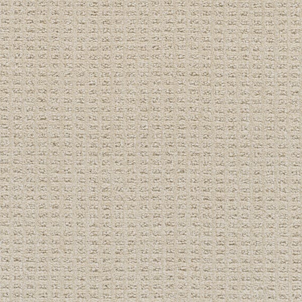 DreamWeaver Perfect Balance — Joyous carpet swatch