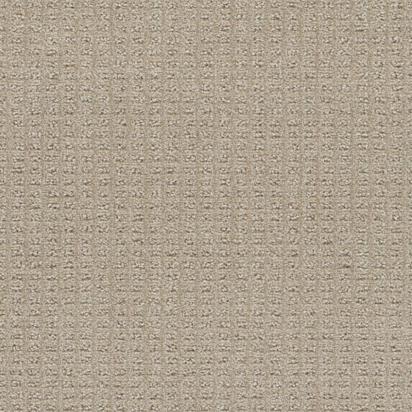 DreamWeaver Perfect Balance — Papaya carpet swatch