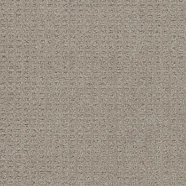 DreamWeaver Perfect Balance — Warm Putty carpet swatch
