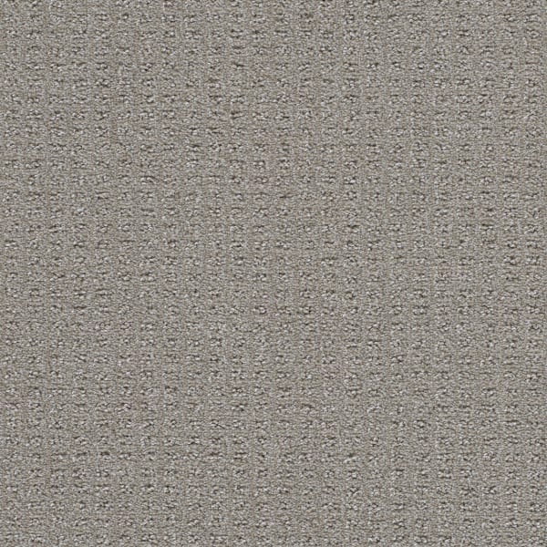 DreamWeaver Perfect Balance — Ravishing carpet swatch