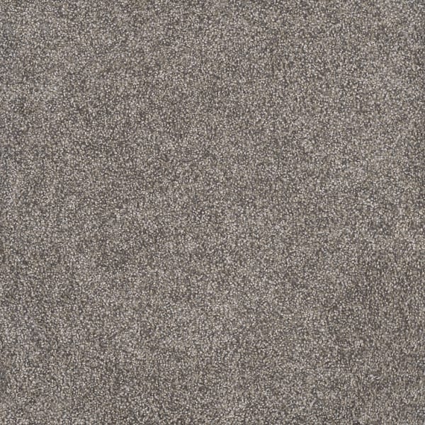DreamWeaver Rustic Retreat II — Dried Sage carpet swatch