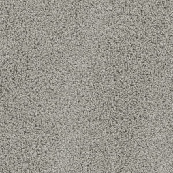 DreamWeaver Tracker — Dove carpet swatch
