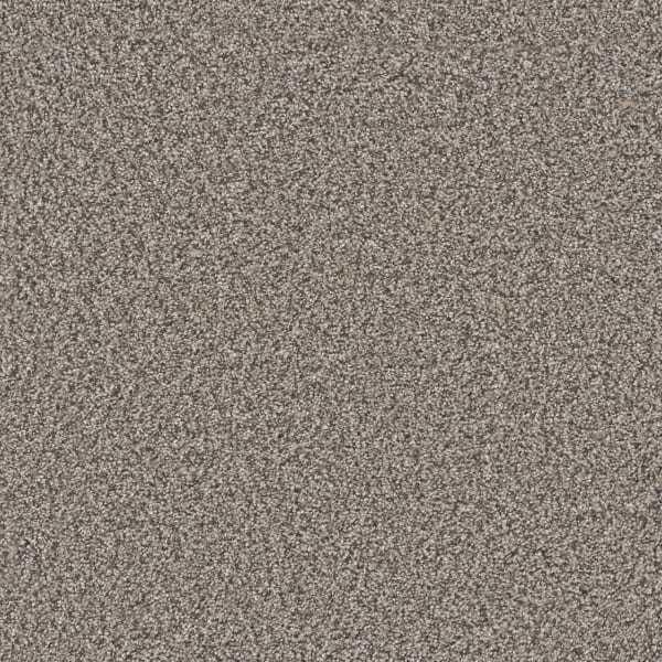 DreamWeaver Windy City II — Mesa Falls carpet swatch