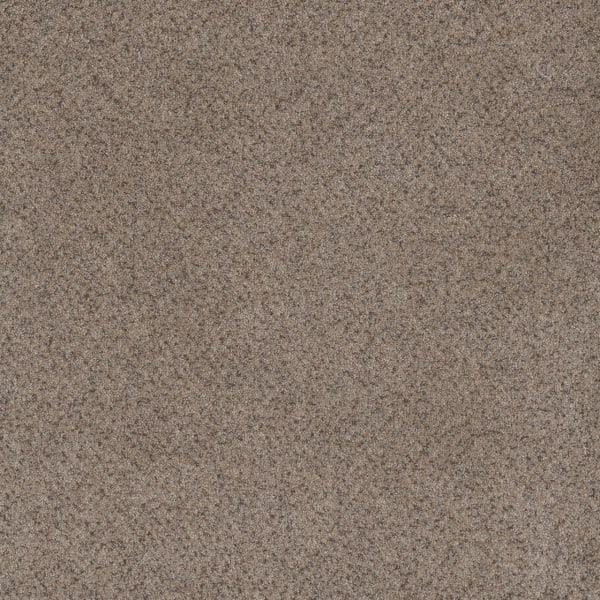 DreamWeaver Serene I — Shining Star carpet swatch