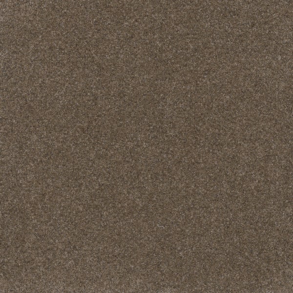 DreamWeaver Serene I — Walnut Grove carpet swatch