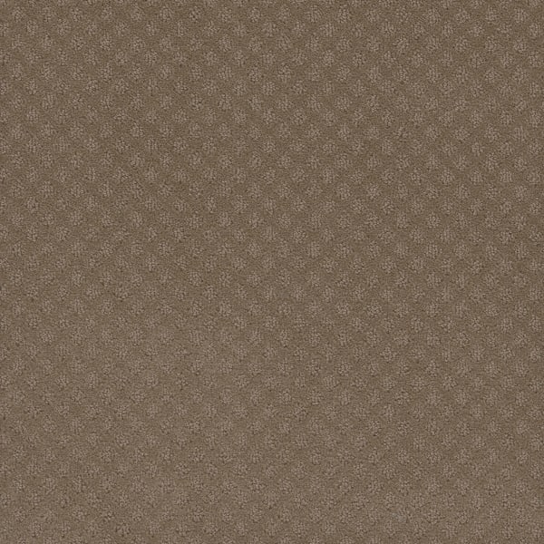 DreamWeaver Stellar — Deer Path carpet swatch