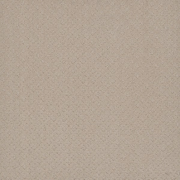 DreamWeaver Stellar — Champagne Fizz carpet swatch
